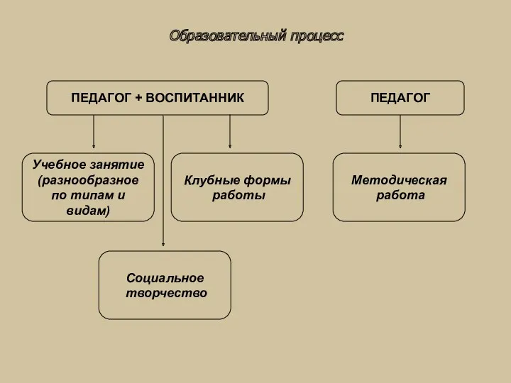 Образовательный процесс ПЕДАГОГ + ВОСПИТАННИК ПЕДАГОГ Учебное занятие (разнообразное по