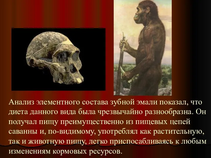 Анализ элементного состава зубной эмали показал, что диета данного вида