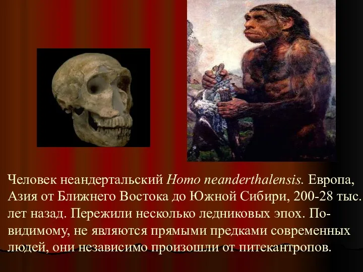 Человек неандертальский Homo neanderthalensis. Европа, Азия от Ближнего Востока до