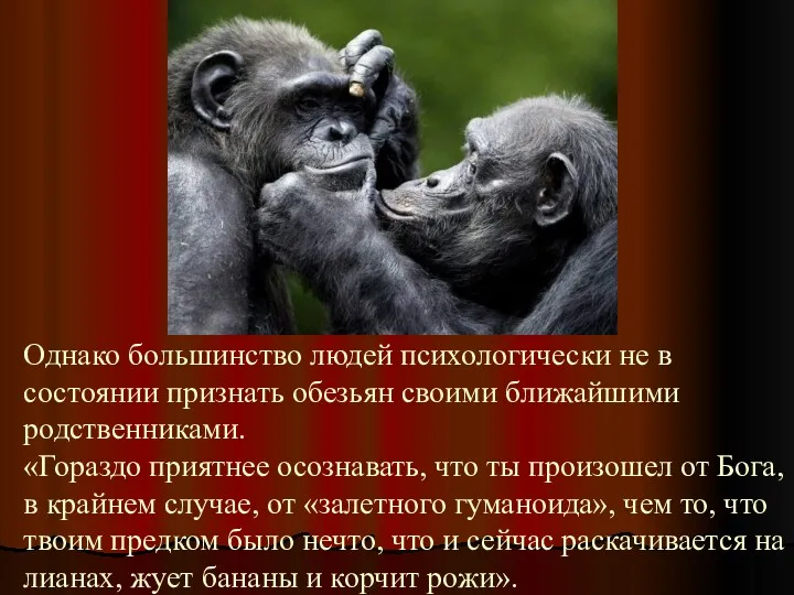 Однако большинство людей психологически не в состоянии признать обезьян своими