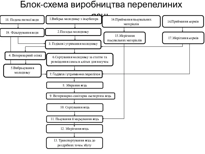 Блок-схема виробництва перепелиних яєць