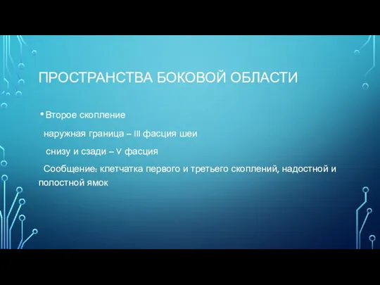 ПРОСТРАНСТВА БОКОВОЙ ОБЛАСТИ Второе скопление наружная граница – III фасция