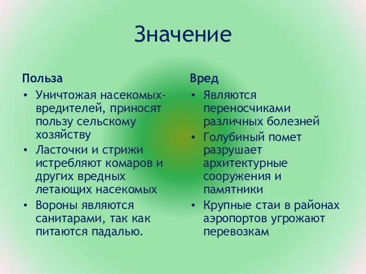 Значение Польза Уничтожая насекомых-вредителей, приносят пользу сельскому хозяйству Ласточки и