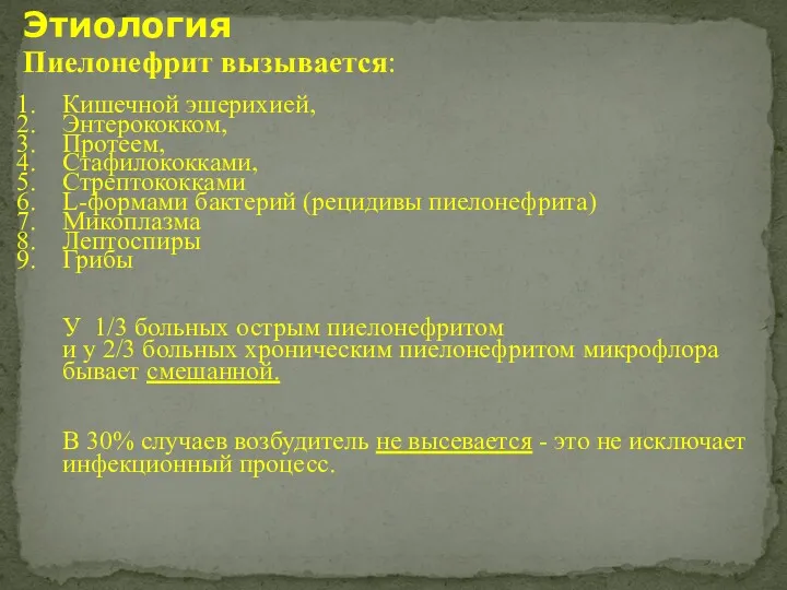 Этиология Пиелонефрит вызывается: Кишечной эшерихией, Энтерококком, Протеем, Стафилококками, Стрептококками L-формами