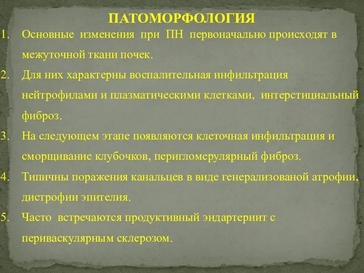 ПАТОМОРФОЛОГИЯ Основные изменения при ПН первоначально происходят в межуточной ткани