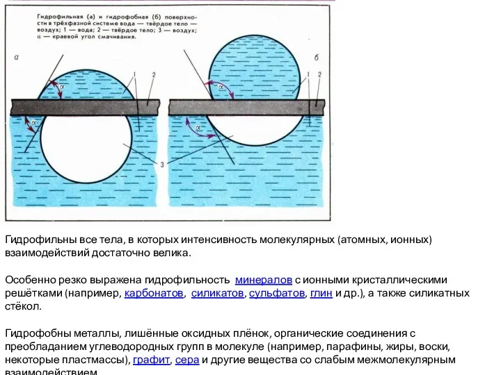 Гидрофильны все тела, в которых интенсивность молекулярных (атомных, ионных) взаимодействий