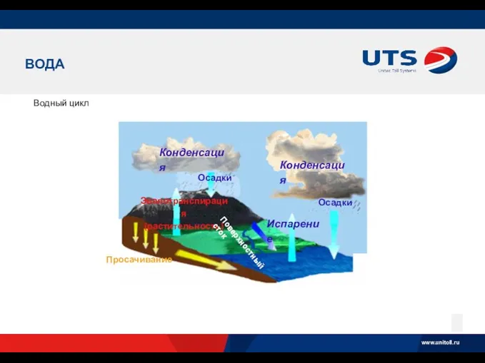 ВОДА Водный цикл Конденсация Конденсация Просачивание Осадки Осадки Испарение Эвапотранспирация (растительность) Поверхностный сток