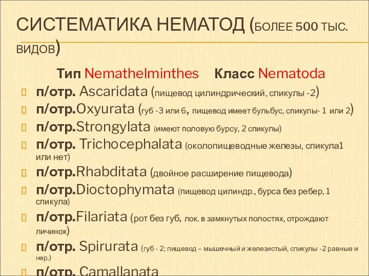 СИСТЕМАТИКА НЕМАТОД (БОЛЕЕ 500 ТЫС. ВИДОВ) Тип Nemathelminthes Класс Nematoda