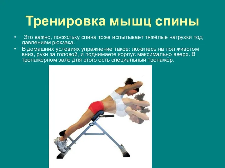 Тренировка мышц спины Это важно, поскольку спина тоже испытывает тяжёлые нагрузки под давлением