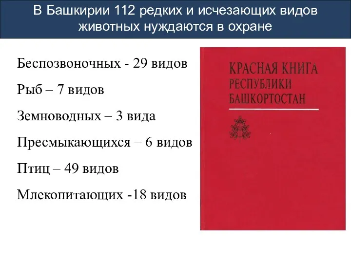 В Башкирии 112 редких и исчезающих видов животных нуждаются в