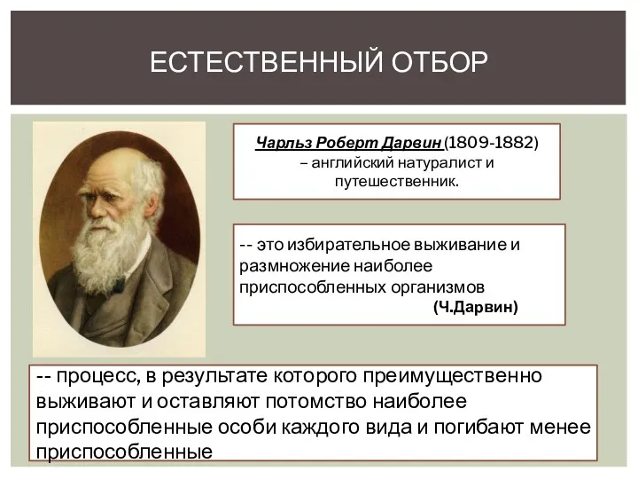 ЕСТЕСТВЕННЫЙ ОТБОР Чарльз Роберт Дарвин (1809-1882) – английский натуралист и