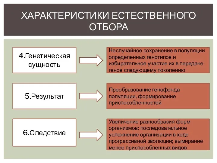 ХАРАКТЕРИСТИКИ ЕСТЕСТВЕННОГО ОТБОРА 4.Генетическая сущность 5.Результат 6.Следствие Неслучайное сохранение в