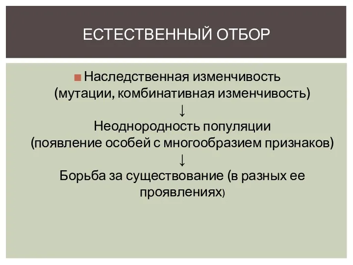 Наследственная изменчивость (мутации, комбинативная изменчивость) ↓ Неоднородность популяции (появление особей