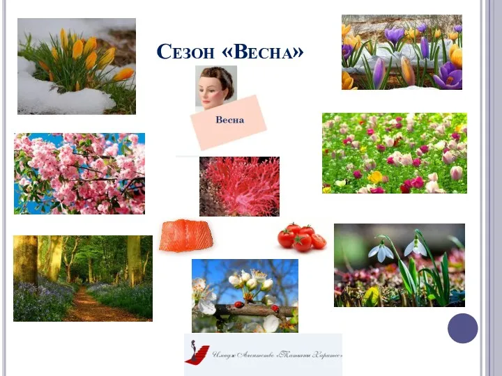 Сезон «Весна»