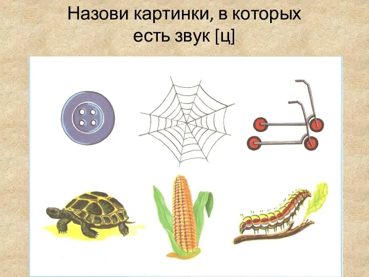 Назови картинки, в которых есть звук [ц]