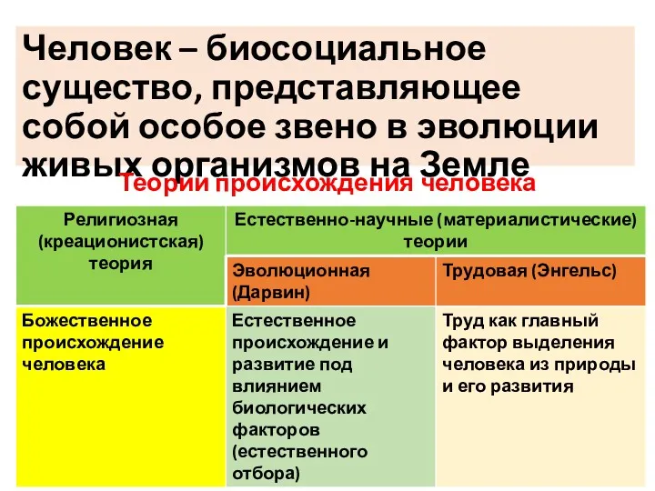 Человек – биосоциальное существо, представляющее собой особое звено в эволюции