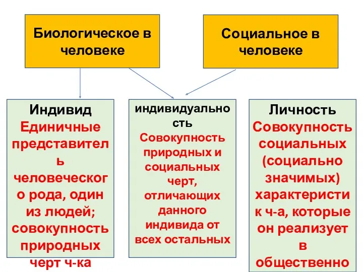 Биологическое в человеке Социальное в человеке Индивид Единичные представитель человеческого