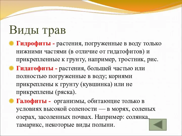 Виды трав Гидрофиты - растения, погруженные в воду только нижними