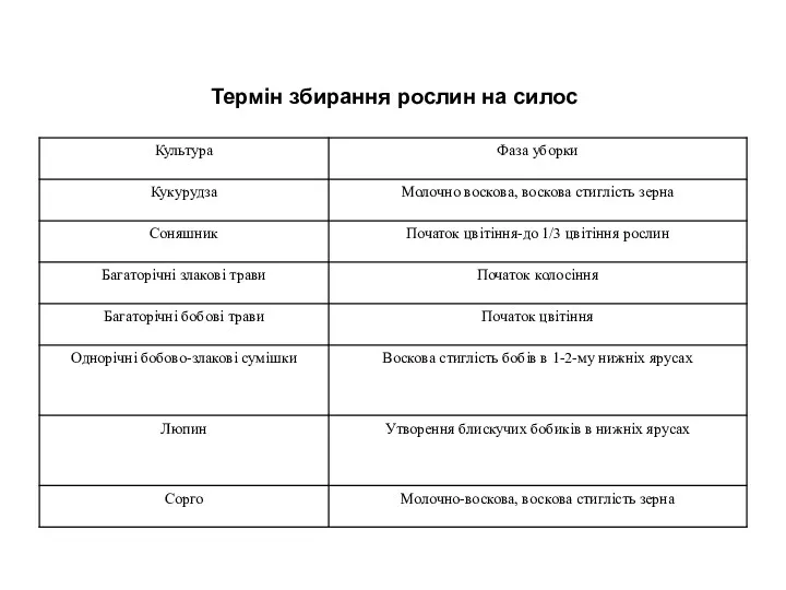 Термін збирання рослин на силос