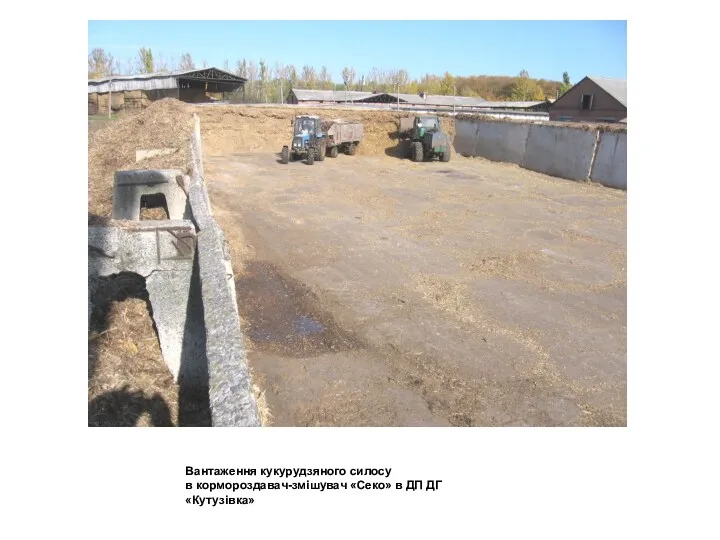 Вантаження кукурудзяного силосу в кормороздавач-змішувач «Секо» в ДП ДГ «Кутузівка»