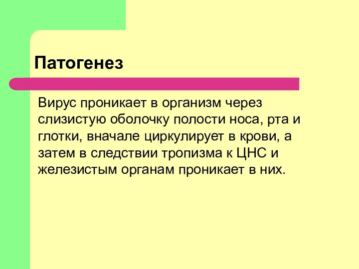 Патогенез Вирус проникает в организм через слизистую оболочку полости носа,