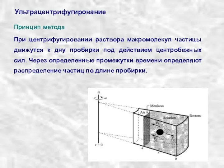 Ультрацентрифугирование Принцип метода При центрифугировании раствора макромолекул частицы движутся к