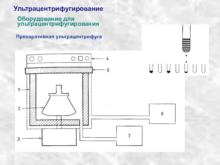 Ультрацентрифугирование Препаративная ультрацентрифуга Оборудование для ультрацентрифугирования