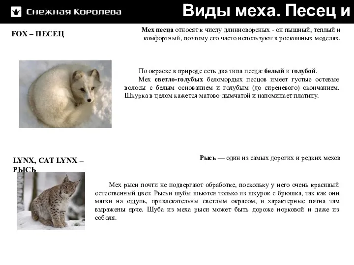 FOX – ПЕСЕЦ LYNX, CAT LYNX – РЫСЬ Виды меха.