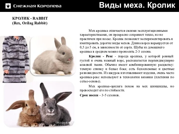 Виды меха. Кролик КРОЛИК - RABBIT (Rex, Orilag Rabbit) Мех