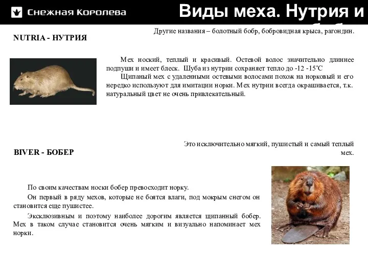 NUTRIA - НУТРИЯ BIVER - БОБЕР Виды меха. Нутрия и