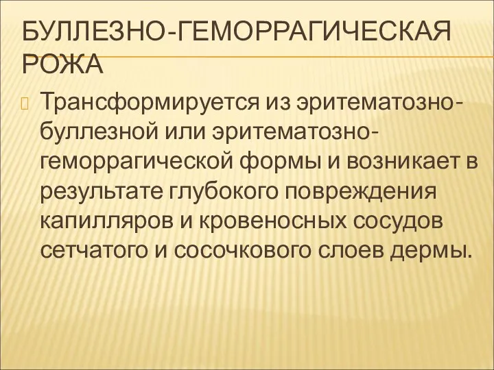 БУЛЛЕЗНО-ГЕМОРРАГИЧЕСКАЯ РОЖА Трансформируется из эритематозно-буллезной или эритематозно-геморрагической формы и возникает