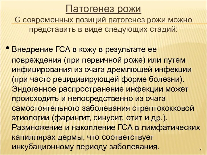 Патогенез рожи С современных позиций патогенез рожи можно представить в