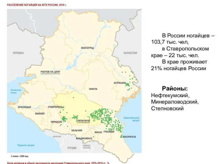 В России ногайцев – 103,7 тыс. чел, в Ставропольском крае