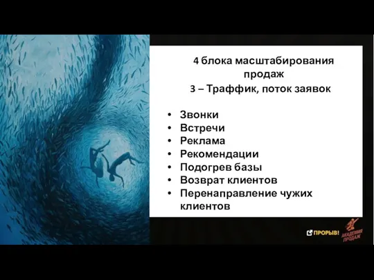 4 блока масштабирования продаж 3 – Траффик, поток заявок Звонки