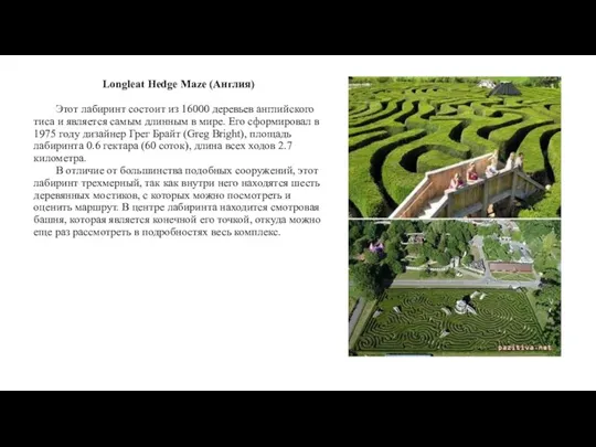 Longleat Hedge Maze (Англия) Этот лабиринт состоит из 16000 деревьев