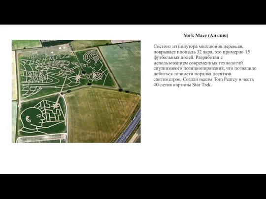 York Maze (Англия) Состоит из полутора миллионов деревьев, покрывает площадь