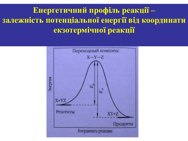 Енергетичний профіль реакції – залежність потенціальної енергії від координати екзотермічної реакції