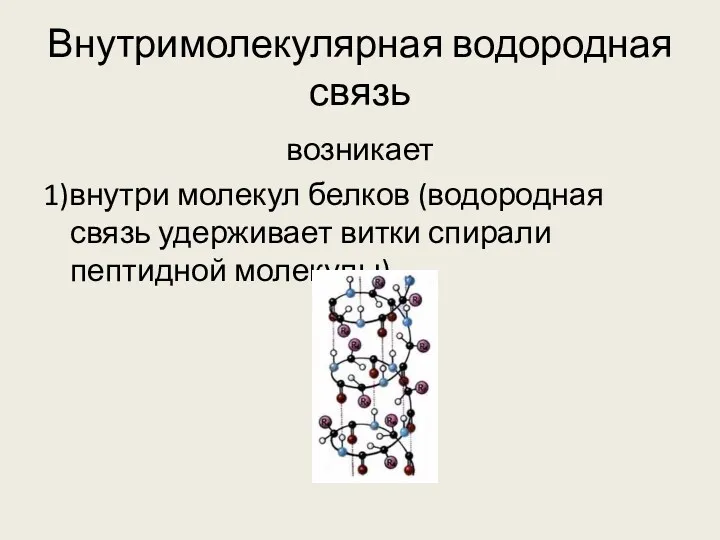 Внутримолекулярная водородная связь возникает 1)внутри молекул белков (водородная связь удерживает витки спирали пептидной молекулы)