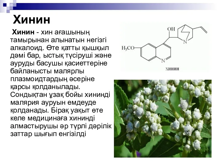 Хинин Хинин - хин ағашының тамырынан алынатын негізгі алкалоид. Өте