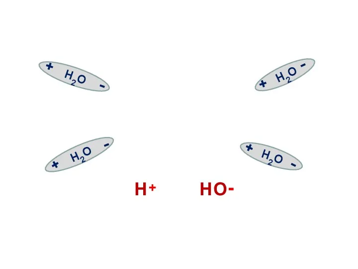 H2O + - H2O + + H2O - + H2O