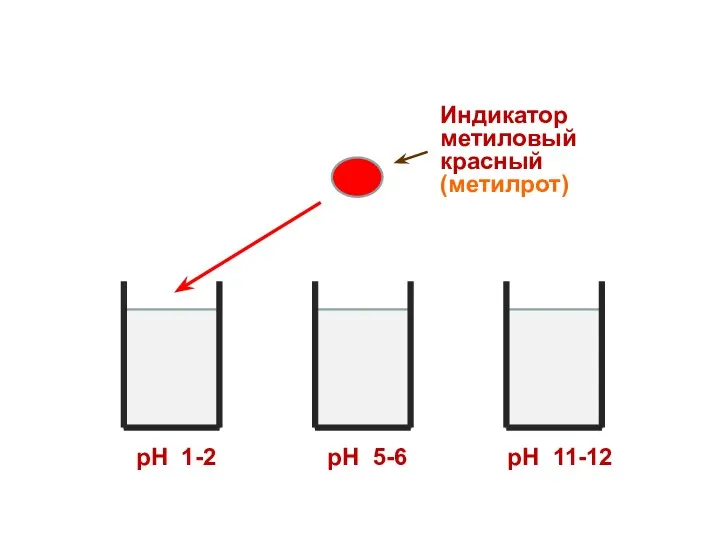 Индикатор метиловый красный (метилрот) рН 1-2 рН 5-6 рН 11-12