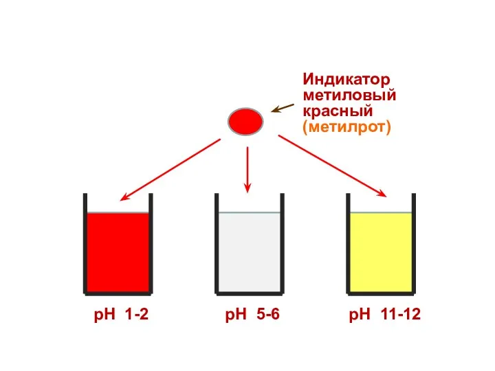 рН 1-2 рН 5-6 рН 11-12 Индикатор метиловый красный (метилрот)