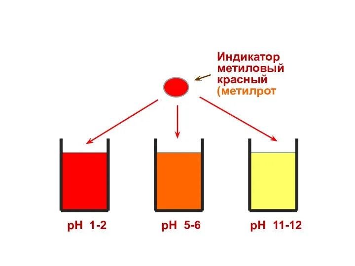 рН 1-2 рН 5-6 рН 11-12 Индикатор метиловый красный (метилрот