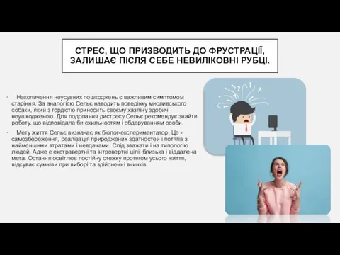 СТРЕС, ЩО ПРИЗВОДИТЬ ДО ФРУСТРАЦІЇ, ЗАЛИШАЄ ПІСЛЯ СЕБЕ НЕВИЛІКОВНІ РУБЦІ.