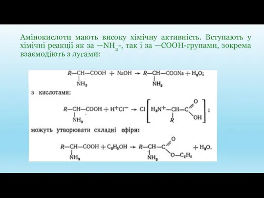 Амінокислоти мають високу хімічну активність. Вступають у хімічні реакції як