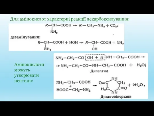 Для амінокислот характерні реакції декарбоксилування: Амінокислоти можуть утворювати пептиди: