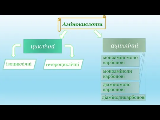 Амінокислоти циклічні ациклічні ізоциклічні гетероциклічні моноаміномонокарбонові моноамінодикарбонові діаміномонокарбонові діамінодикарбонові