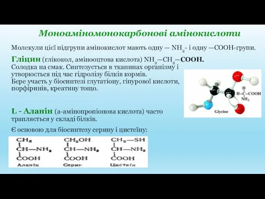 Молекули цієї підгрупи амінокислот мають одну — NH2- і одну