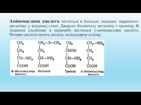 Аміномасляна кислота міститься в багатьох тканинах тваринного організму у вільному