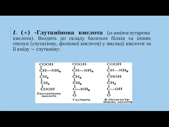 L (+) -Глутамінова кислота (α-аміноглутарова кислота). Входить до складу багатьох